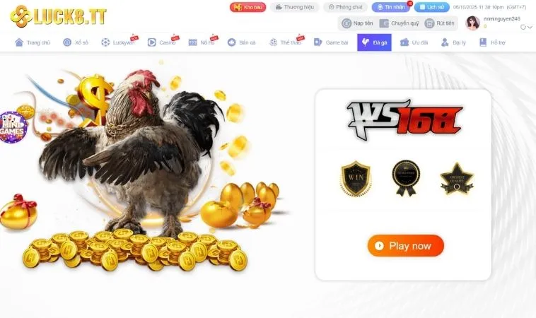 Đá Gà 1 Sảnh Đá Gà Luck8 thiết kế giao diện đẹp, chuyên nghiệp