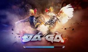 Đá Gà 3D Tại Luck8