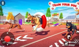 Đua Chó Tại Luck8