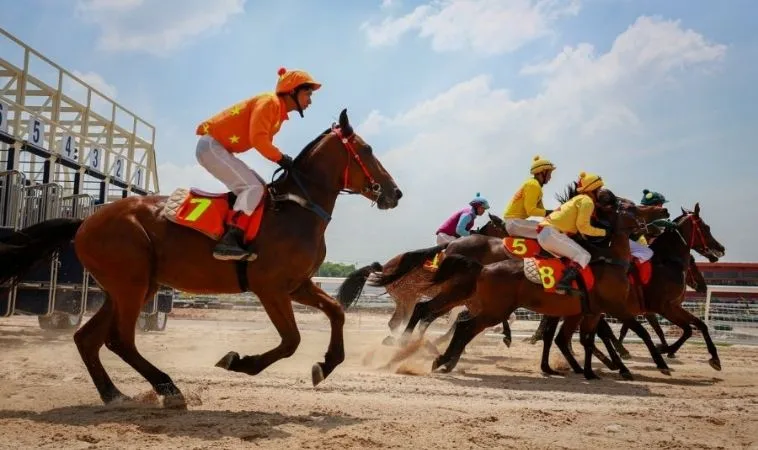 Tìm Hiểu Cá Cược Đua Ngựa Luck8 Giải Mã Kèo Cược Trường Đua 1 Đua Ngựa Luck8
